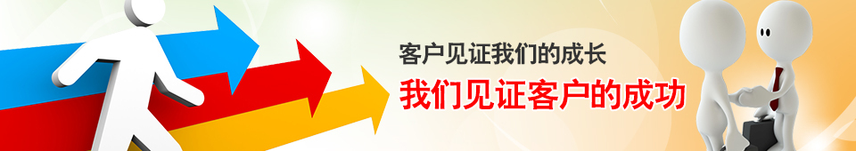 成功案例